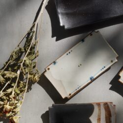 Alternative view of 楽描 焼物皿